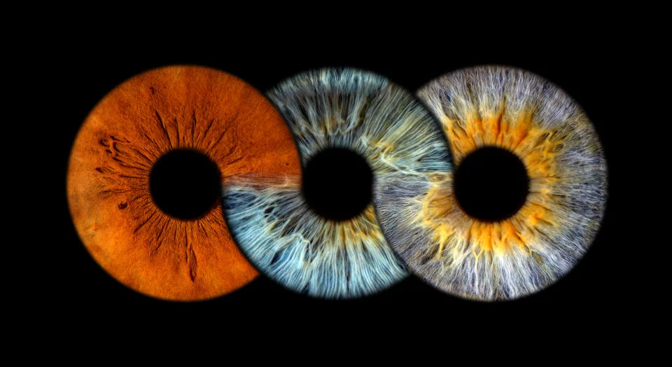 Infinity · Drei – Collage mit drei Iriden als Motivbeispiel.