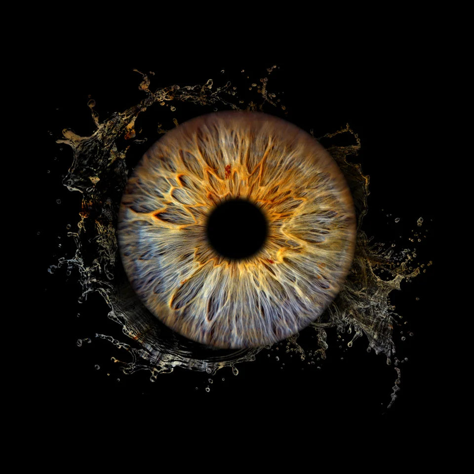 Wasser – einzelne Iris mit Wassereffekt als Collage; Motivbeispiel.