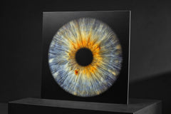 Blau & Gold · Alu-Dibond – Produktvisualisierung eines Irisprints auf einer dünnen Platte ohne abgebildete Aufhängung.