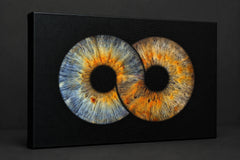 Infinity · Leinwand – Produktvisualisierung einer Collage mit zwei Iriden auf Leinwand mit sichtbarer Kante.